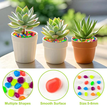 Glow In Dark Garden Rocks (Pack Of 100 pcs)
